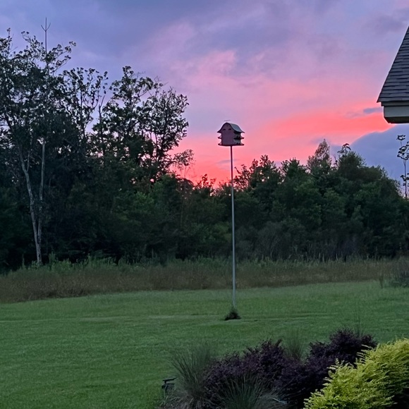 Meet your Posher, Andrea - Picture 1 of 1